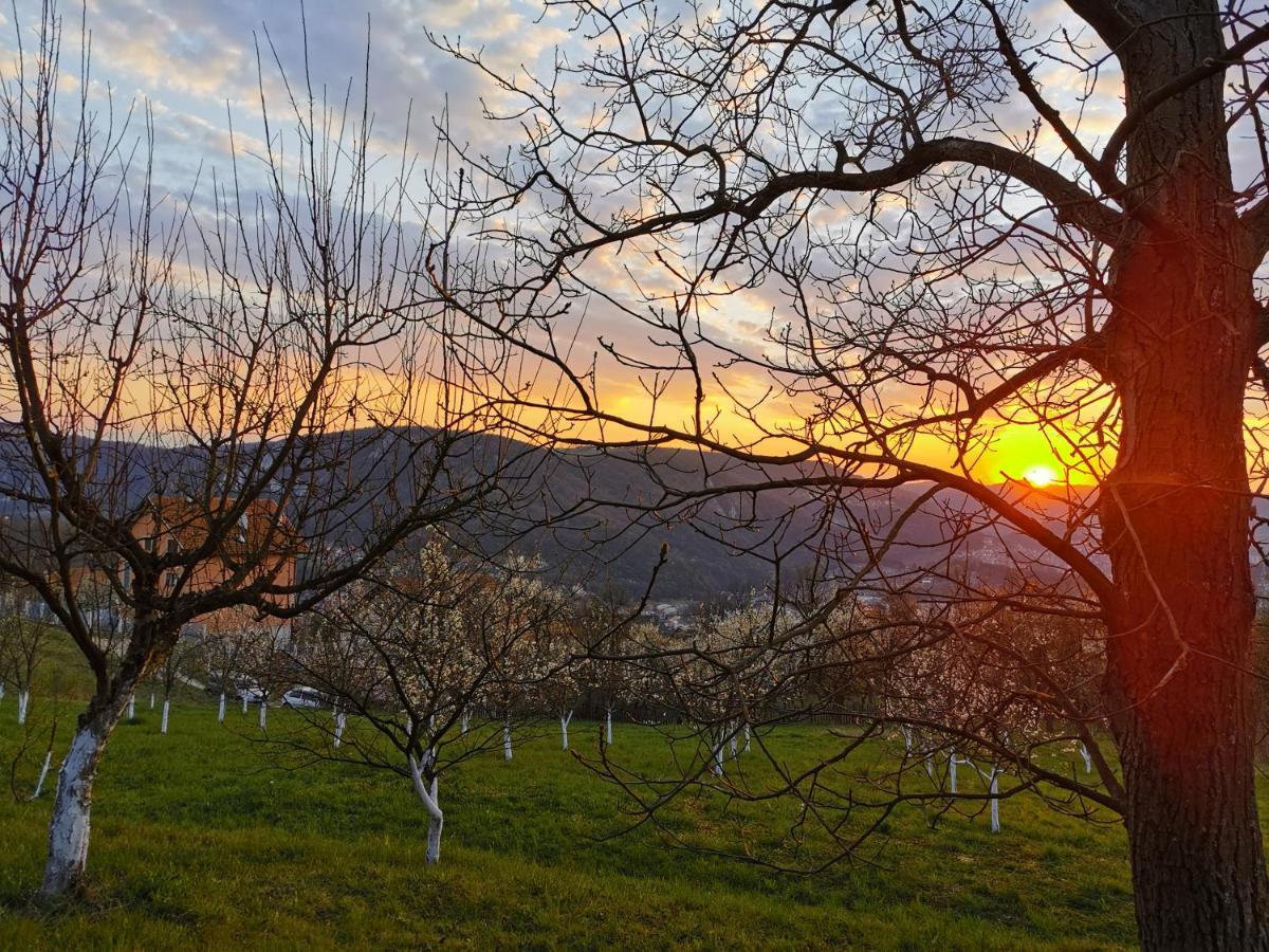 Chalet Belino sokače Užice Dış mekan fotoğraf