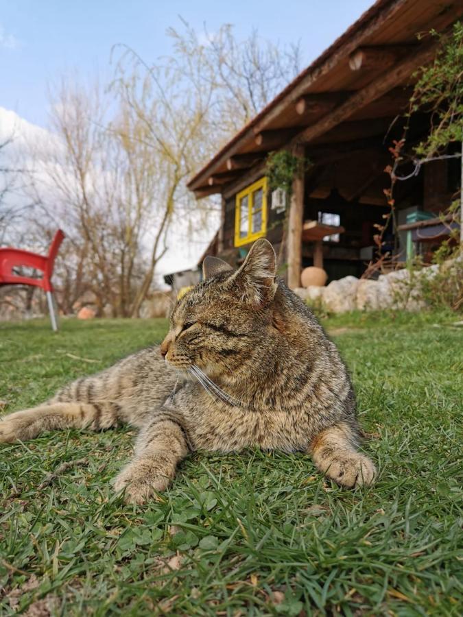 Chalet Belino sokače Užice Dış mekan fotoğraf